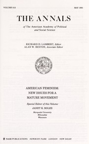 American feminism new issues for a mature movement