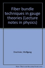 Fiber bundle techniques in gauge theories