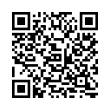 QR Code (код быстрого отклика)