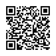 QR Code (код быстрого отклика)