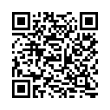 QR Code (код быстрого отклика)